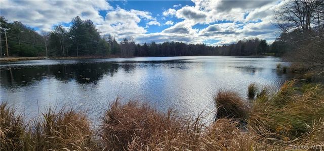 Mongaup Road, Monticello, NY 12701