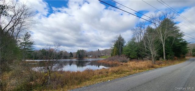 Mongaup Road, Monticello, NY 12701