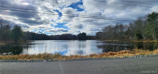 Mongaup Road, Monticello, NY 12701