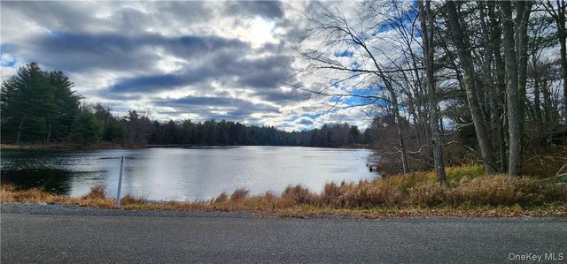 Mongaup Road, Monticello, NY 12701