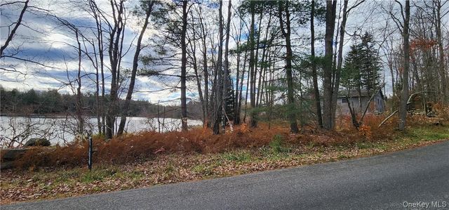 Mongaup Road, Monticello, NY 12701