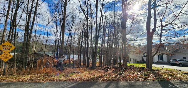 Mongaup Road, Monticello, NY 12701