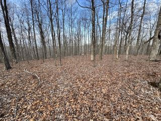 0 Red Dog Rd, Big Sandy, TN 38221