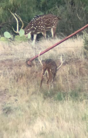 1219 S Moss Lake Rd, Big Spring, TX 79720