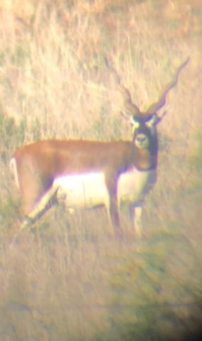 1219 S Moss Lake Rd, Big Spring, TX 79720