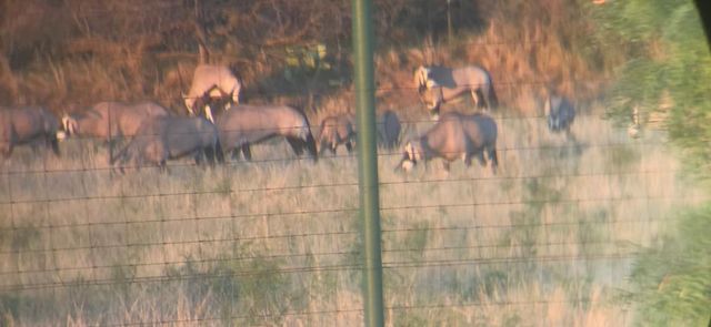 1219 S Moss Lake Rd, Big Spring, TX 79720