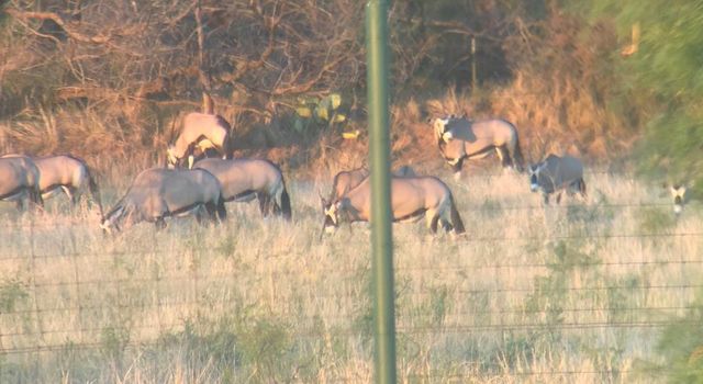 1219 S Moss Lake Rd, Big Spring, TX 79720