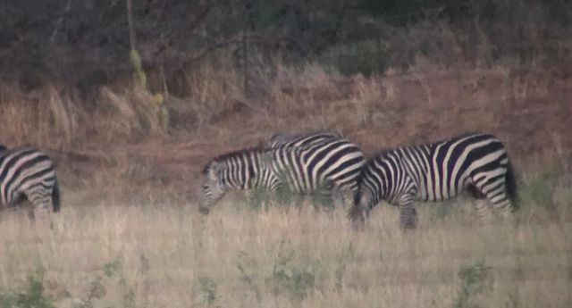 1219 S Moss Lake Rd, Big Spring, TX 79720