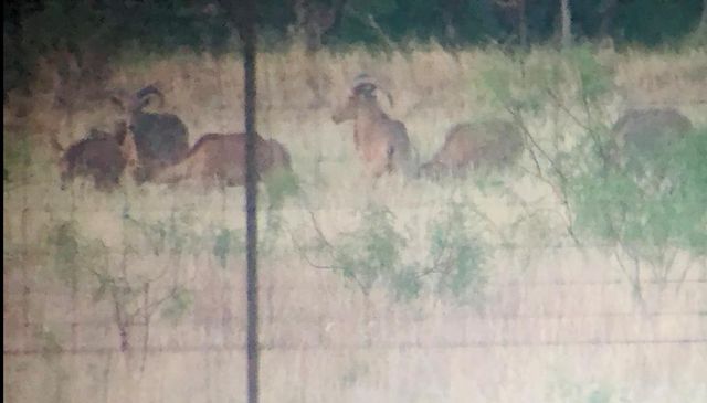 1219 S Moss Lake Rd, Big Spring, TX 79720