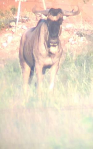 1219 S Moss Lake Rd, Big Spring, TX 79720