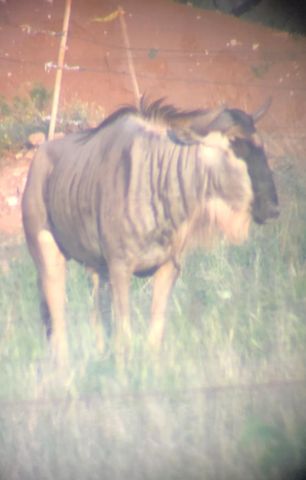 1219 S Moss Lake Rd, Big Spring, TX 79720