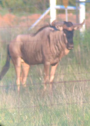 1219 S Moss Lake Rd, Big Spring, TX 79720