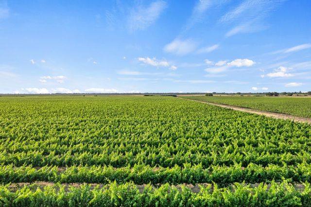 53200 S River Rd, Clarksburg, CA 95612