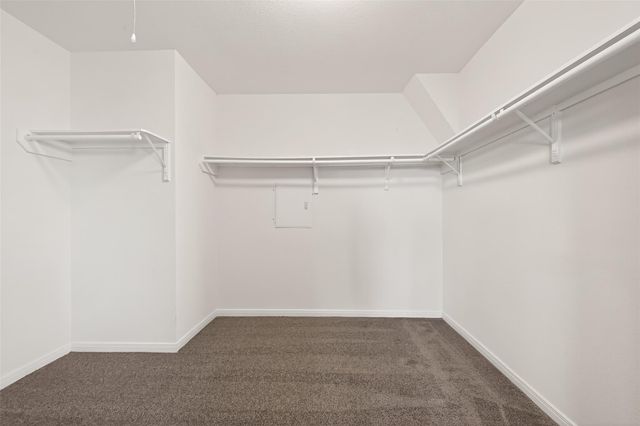 20811 Westfield Grove Place, Katy, TX 77449