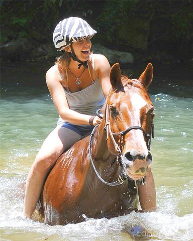 1234 Johns Ridge Parkway 204DE, Lenoir, NC 28645