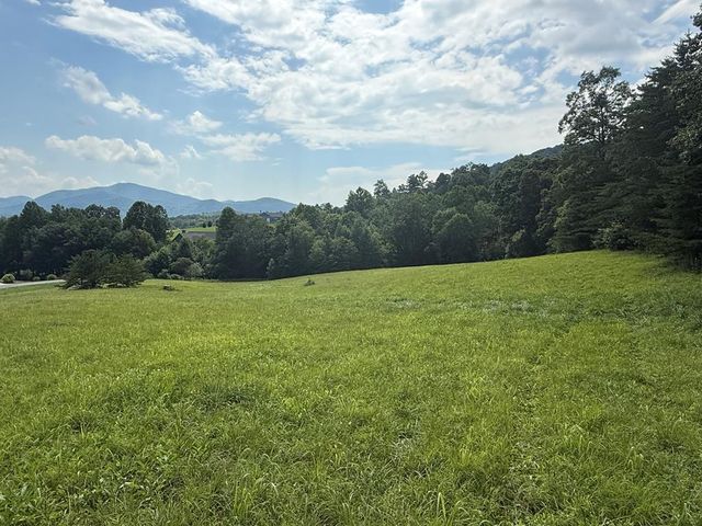 Lot 52 The Preserve At Cc, Young Harris, GA 30582