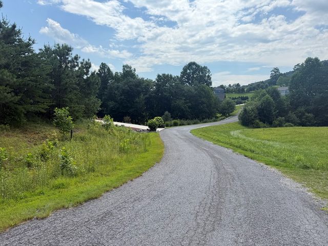 Lot 52 The Preserve At Cc, Young Harris, GA 30582