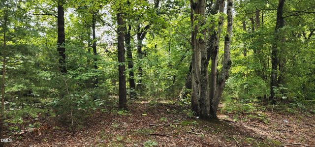 4501 Lot 1 Mill Creek Road, Cedar Grove, NC 27231