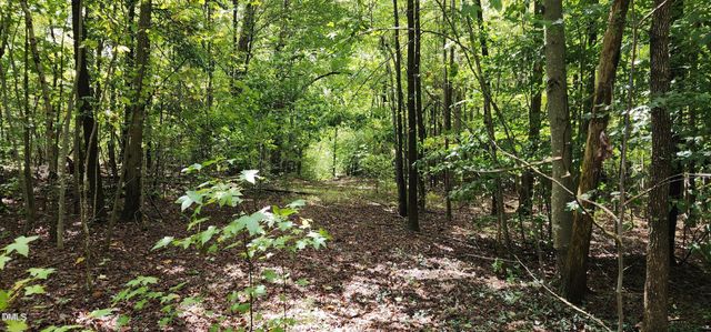 4501 Lot 1 Mill Creek Road, Cedar Grove, NC 27231