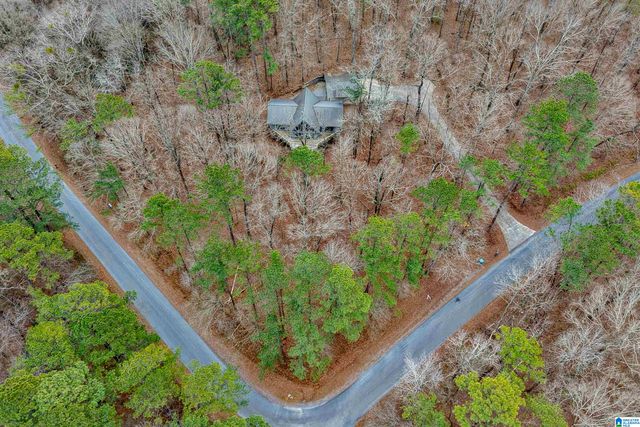 266 DAVIS ACRES DRIVE, Alpine, AL 35014