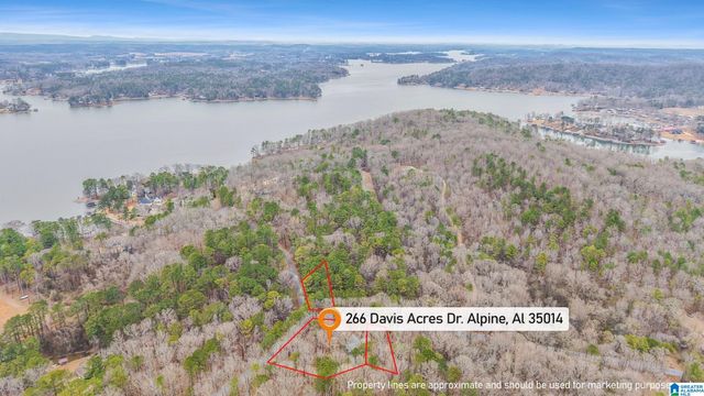 266 DAVIS ACRES DRIVE, Alpine, AL 35014
