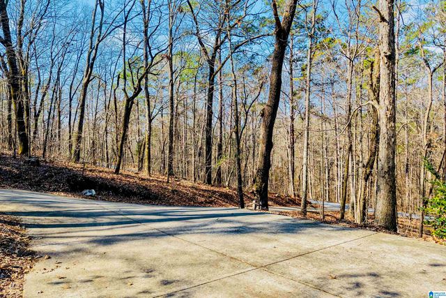 266 DAVIS ACRES DRIVE, Alpine, AL 35014