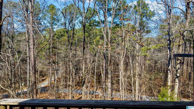 266 DAVIS ACRES DRIVE, Alpine, AL 35014
