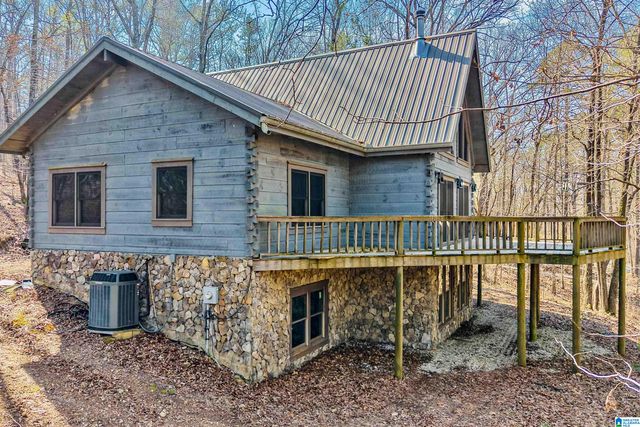 266 DAVIS ACRES DRIVE, Alpine, AL 35014