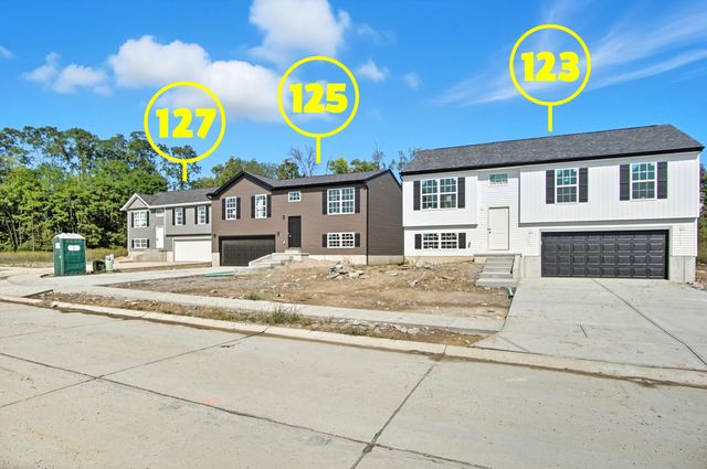 123 Belmont Court, Williamstown, KY 41097