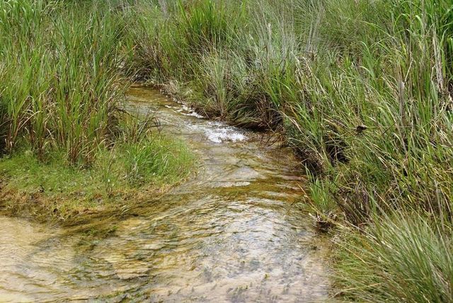 141 Hill CV, Dripping Springs, TX 78620