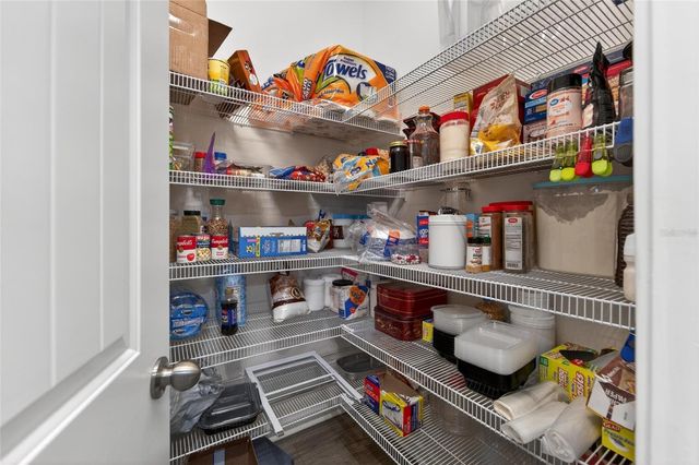 13017 SATIN LILY DRIVE, Riverview, FL 33579