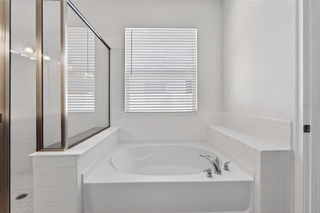 13017 SATIN LILY DRIVE, Riverview, FL 33579