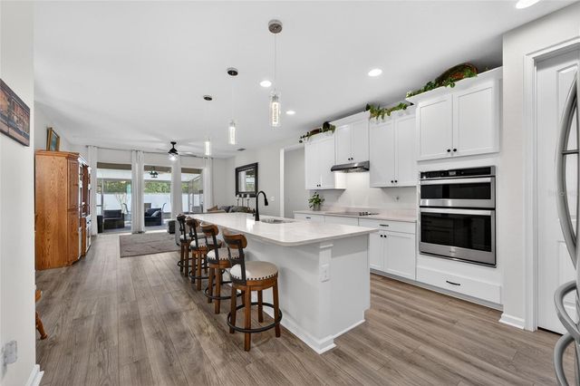 13017 SATIN LILY DRIVE, Riverview, FL 33579