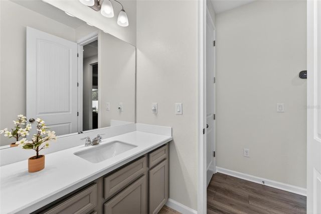 13017 SATIN LILY DRIVE, Riverview, FL 33579