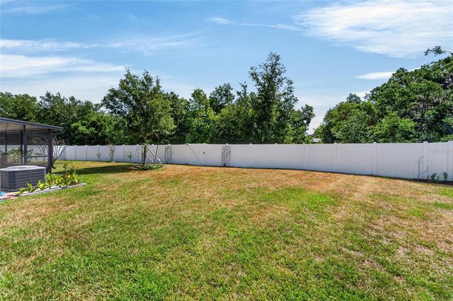 13017 SATIN LILY DRIVE, Riverview, FL 33579