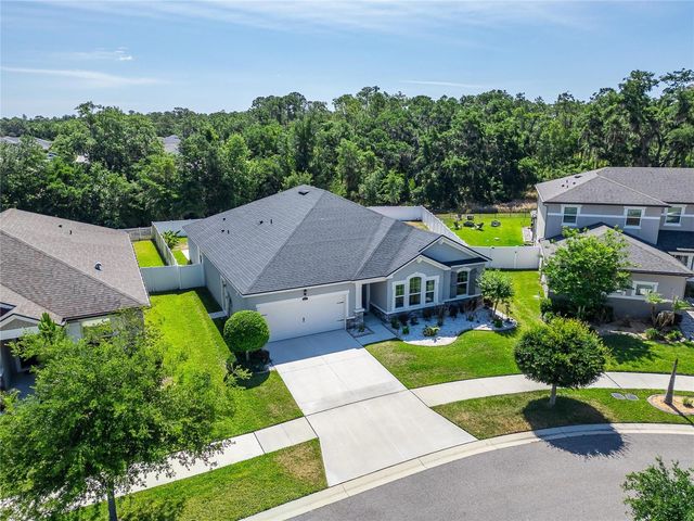 13017 SATIN LILY DRIVE, Riverview, FL 33579