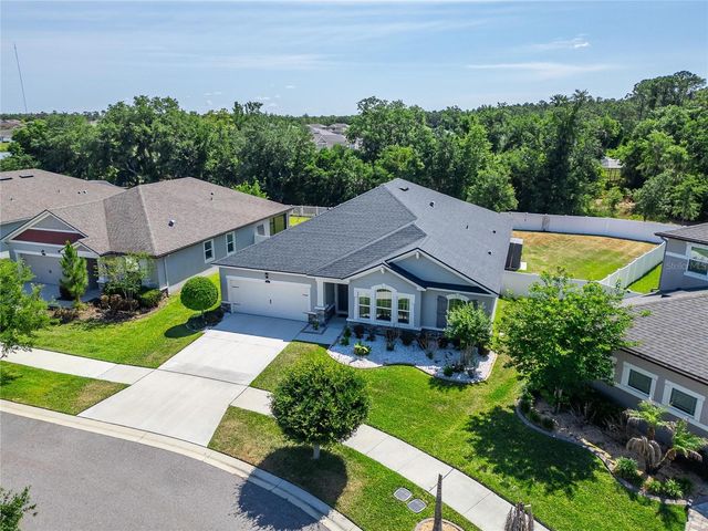 13017 SATIN LILY DRIVE, Riverview, FL 33579