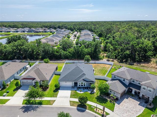 13017 SATIN LILY DRIVE, Riverview, FL 33579