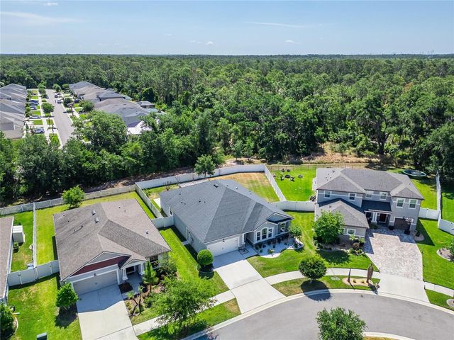 13017 SATIN LILY DRIVE, Riverview, FL 33579