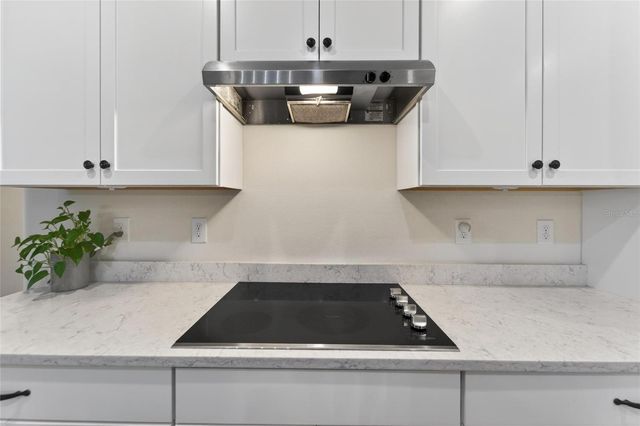 13017 SATIN LILY DRIVE, Riverview, FL 33579