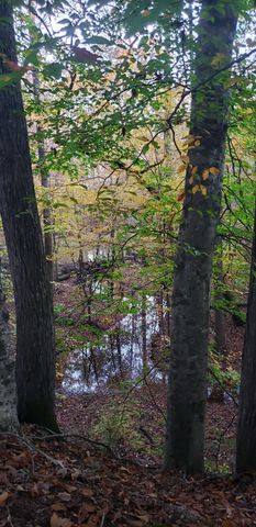 416 Powers Rd, Manchester, TN 37355