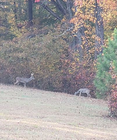 416 Powers Rd, Manchester, TN 37355