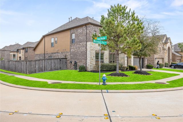 9522 Whitebark Pine Way, Cypress, TX 77433