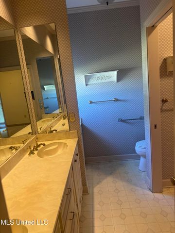 21 Twelve Oaks Drive, Madison, MS 39110