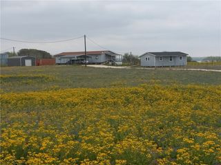 147 Lago Dr, Sandia, TX 78383