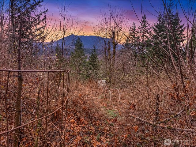 5450 Reese Hill Road, Sumas, WA 98295
