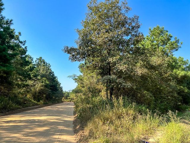 0 Shady Grove Rd, Woodville, TX 75979