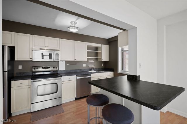 11820 Edgewater Drive 809, Lakewood, OH 44107