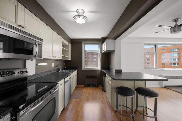 11820 Edgewater Drive 809, Lakewood, OH 44107