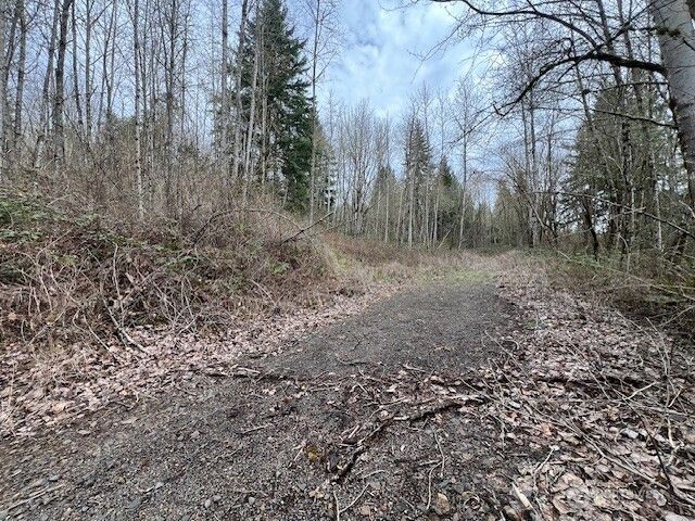 318 Martins Bluff Road, Kalama, WA 98625